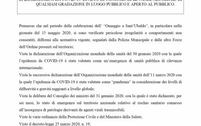 ORDINANZA N. 101 del 21 maggio 2020