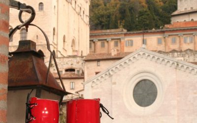 Giornata del 25 Novembre: Superare discriminazioni e violenze sulle donne è frontiera di civiltà