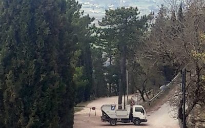 Pulizia presso gli stradoni del Monte Ingino