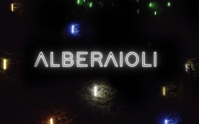 Rinnovo del Consiglio Direttivo del Comitato Albero di Natale più Grande del Mondo
