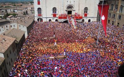 Discesa dei Ceri: ORDINANZA E PROGRAMMA