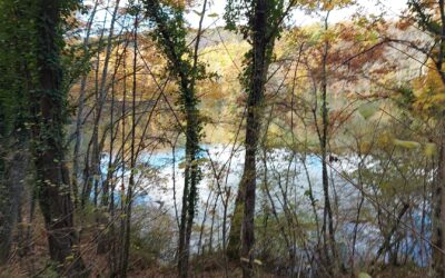 ALTRA TAPPA DI CONOSCERE BORGHI E CASTELLI: I LAGHI DI VILLA FASSIA E CASTELLO DI SAN CIPRIANO